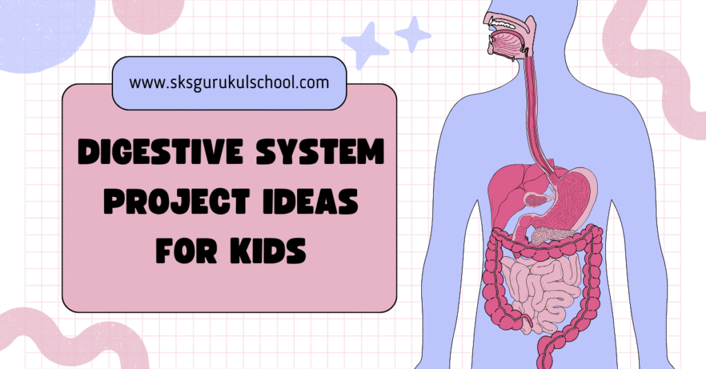 Digestive System Project Ideas for Kids